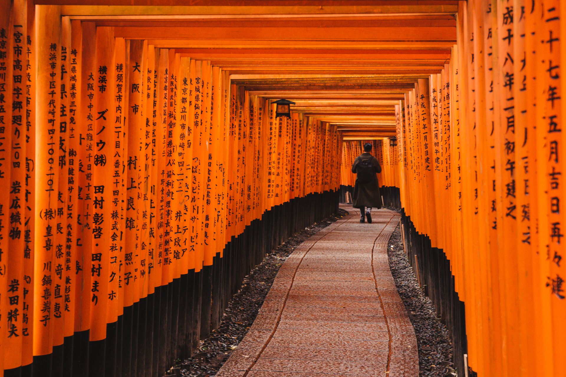 Uma pessoa caminha pelo túnel de portões torii vermelhos do santuário Fushimi Inari, em Kyoto