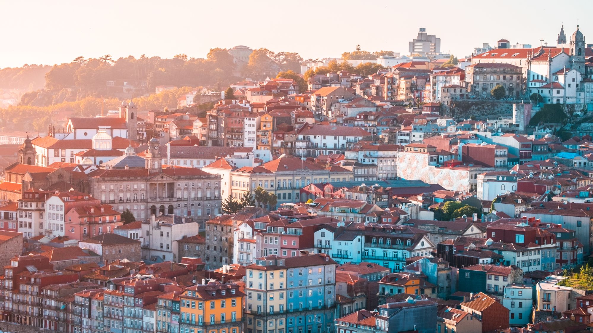 Telhados do Porto ao fim da tarde, descendo em direção ao rio