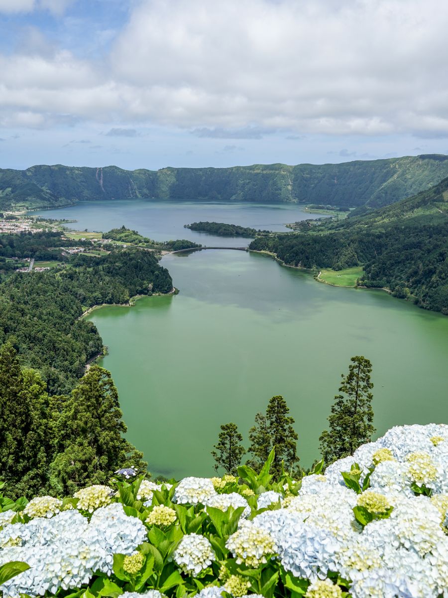 A lagoa das Sete Cidades, em São Miguel, com hortênsias no primeiro plano